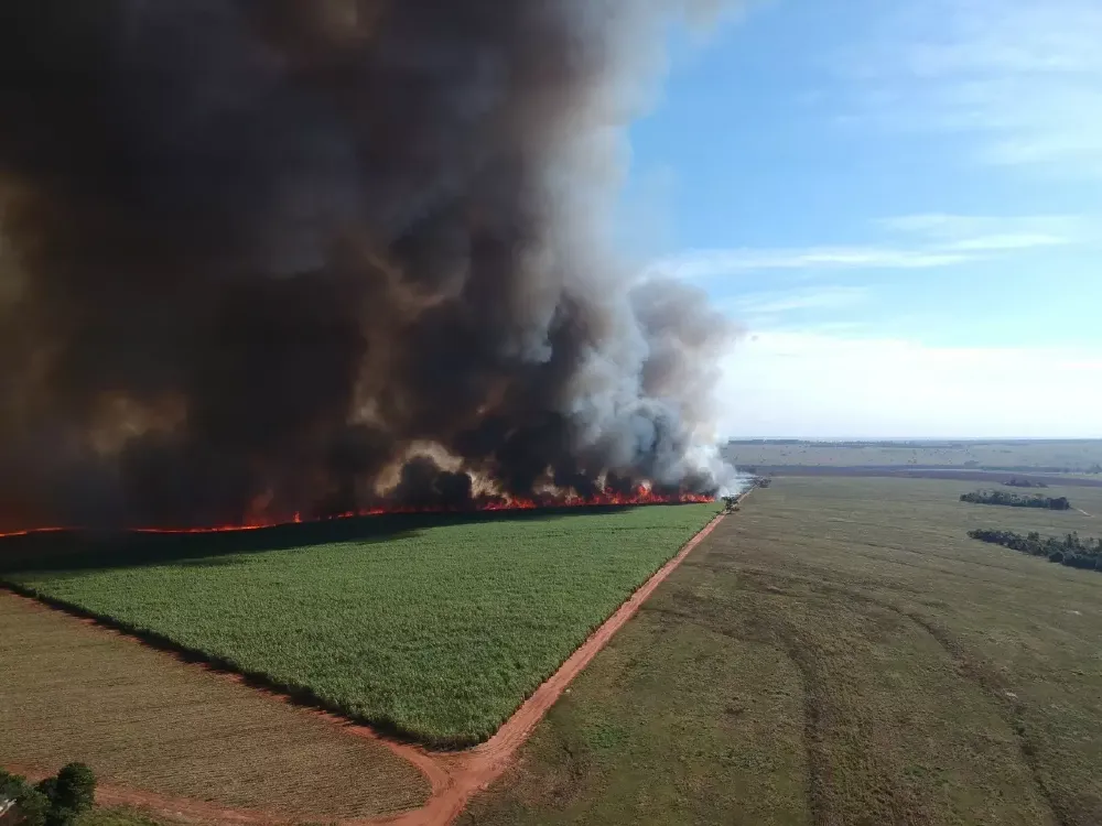 Produtor rural tem prejuízo milionário com incêndio em canavial em Paranaíba cerca de 2 mil toneladas de cana foram destruídas pelo fogo, que teria sido causado por um cabo de energia rompido.