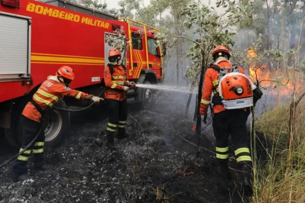 Bombeiros MS