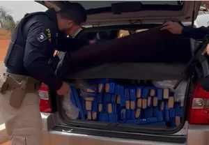 PRF apreende 298Kg de drogas em Paranaíba