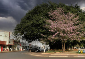 Chuva em Paranaíba MS
