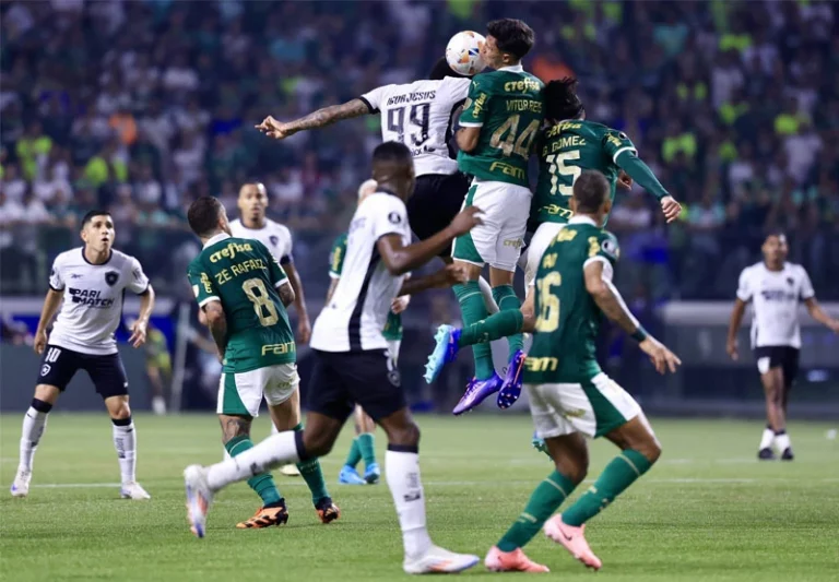 Palmeiras e Botafogo disputam liderança do Brasileirão
