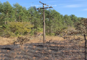 Sindicato Rural e MP convocam produtores sobre problemas com a Energisa