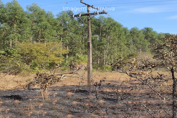 Sindicato Rural e MP convocam produtores sobre problemas com a Energisa