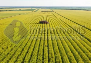 Agro terá R$ 546,6 bilhões em investimentos