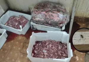 Polícia flagra 370 quilos de carne em meio a baratas e moscas em MS