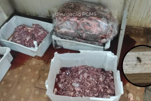 Polícia flagra 370 quilos de carne em meio a baratas e moscas em MS