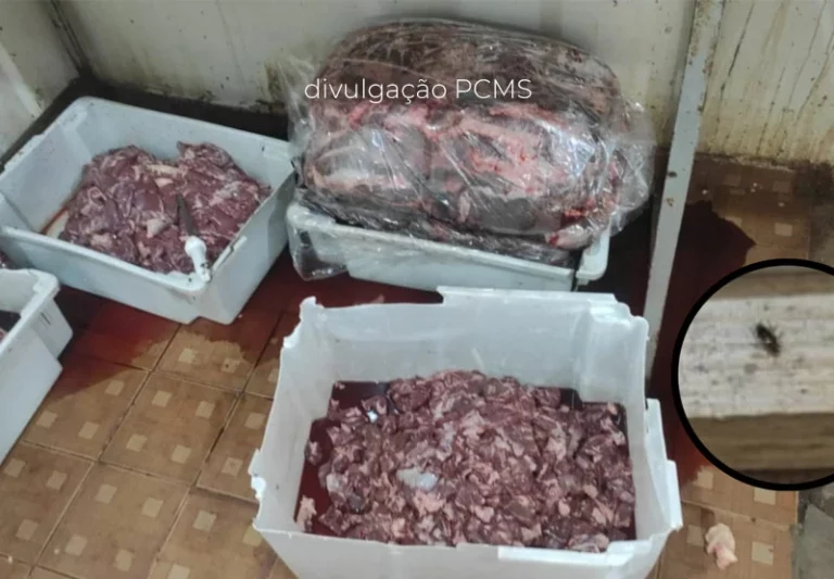 Polícia flagra 370 quilos de carne em meio a baratas e moscas em MS