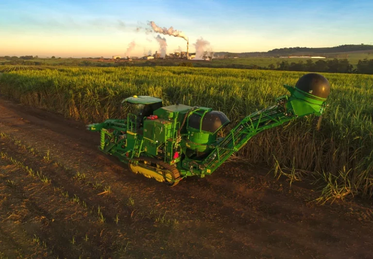 Cientistas brasileiros descobrem enzima revolucionária para biocombustíveis