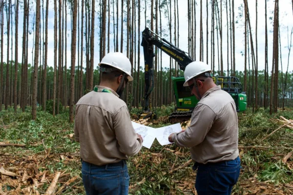 Eldorado Brasil abre vagas em Paranaíba para contratação