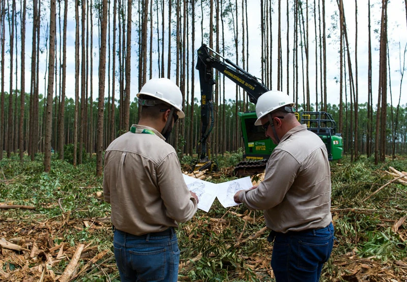 Eldorado Brasil abre vagas em Paranaíba para contratação