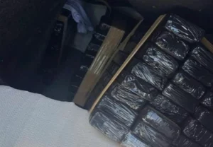 Polícia Federal apreende 200 kg de maconha na BR-158