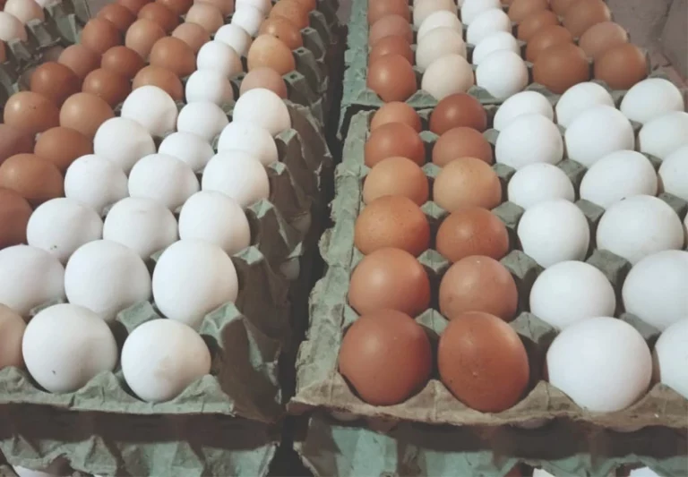 Preço do avo atinge preço mais alto em 22 meses no Brasil