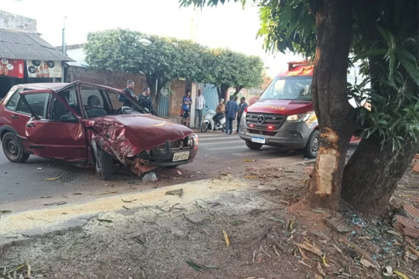 Homem perde a consciência após colidir com árvore em Paranaíba
