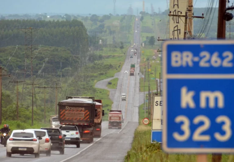 Rota da Celulose em MS será administrada pelo Consórcio K&G