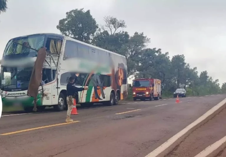 Motorista indiciado por mortes de médica e idoso em acidente em MS