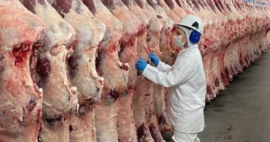 MS pausa envio de carne aos EUA