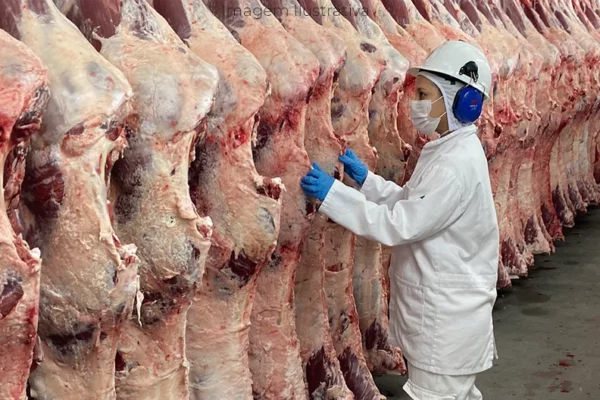 MS pausa envio de carne aos EUA