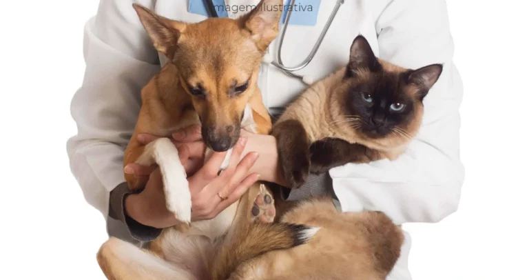 Caravana da Castração está com inscrições abertas em Paranaíba