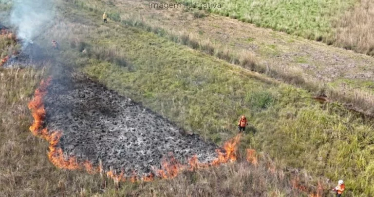 Incêndios em MS disparam 60% em 2025