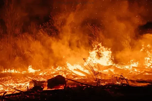 Incêndios voltam a castigar Paranaíba