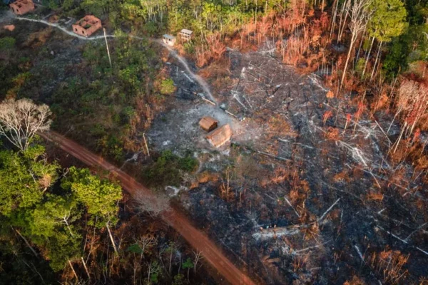 Monitoramento via satélite flagra desmatamento ilegal em Paranaíba