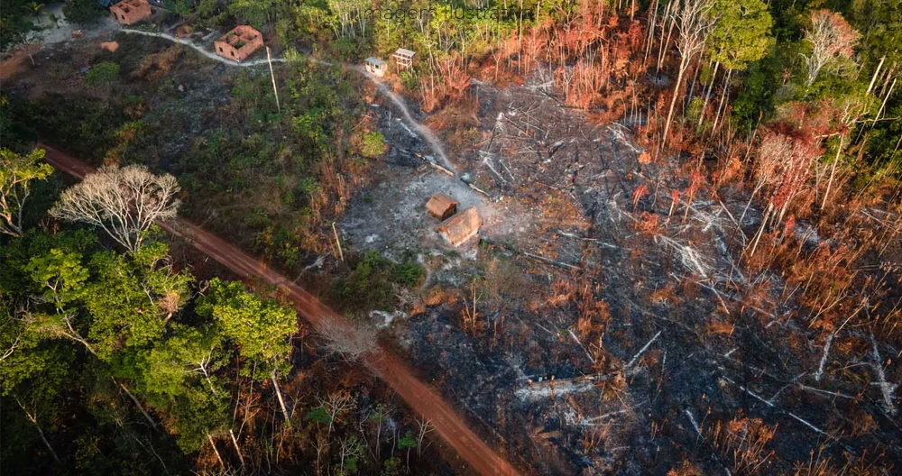Monitoramento via satélite flagra desmatamento ilegal em Paranaíba