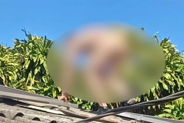 Pelado homem sobe em telhado pra fugir de ex-namorado de 'amiga'