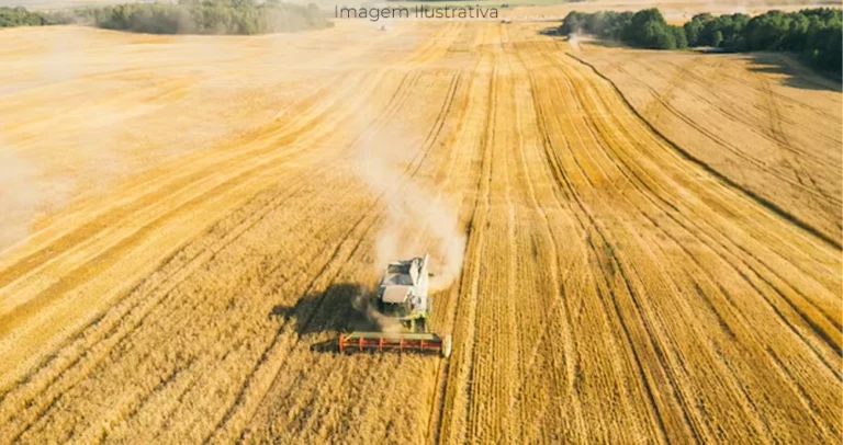 Previsão da safra 2024/2025 de MS tem 30% de crescimento