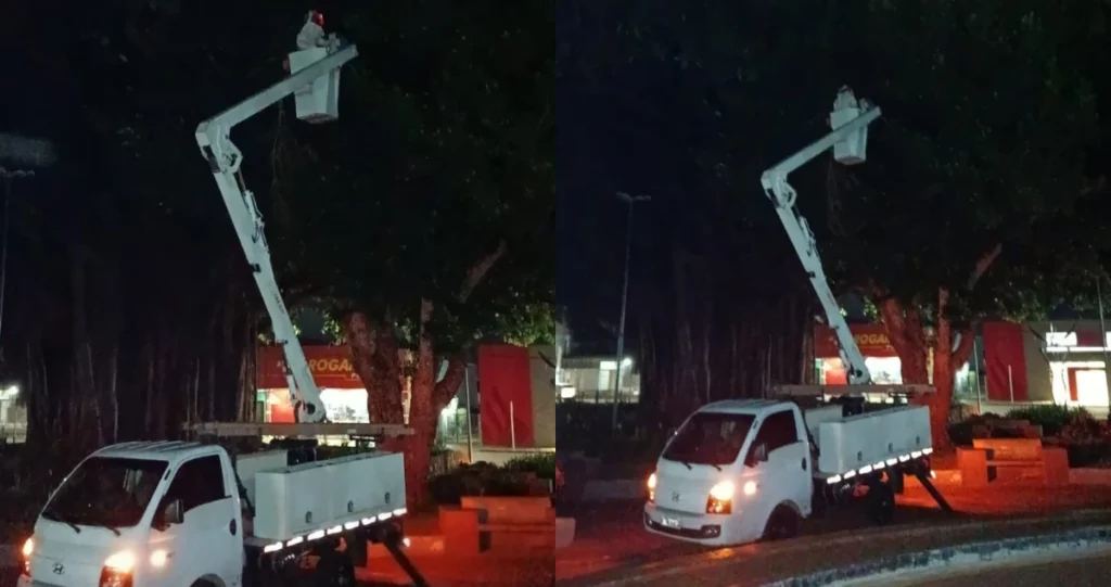 Corpo de Bombeiros retira abelhas da Figueira da Praça em Paranaíba