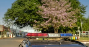 PM apreende 60 pés de maconha e arma em Paranaíba