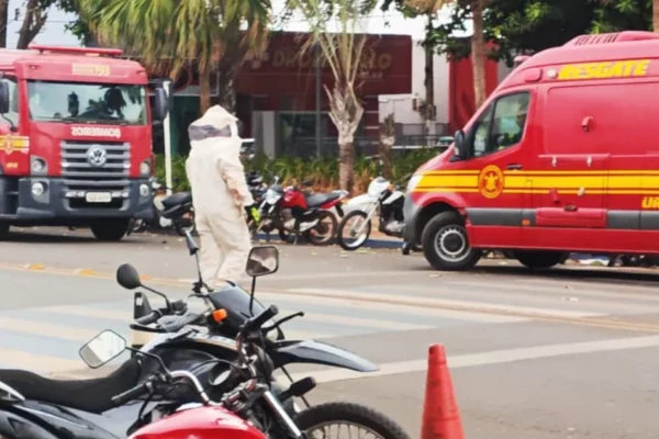 Cuidado abelhas: enxame na Praça da República ataca pessoas