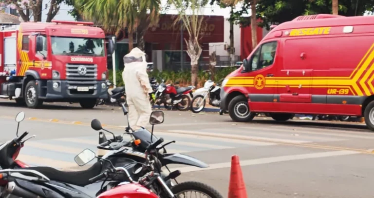 Cuidado abelhas: enxame na Praça da República ataca pessoas