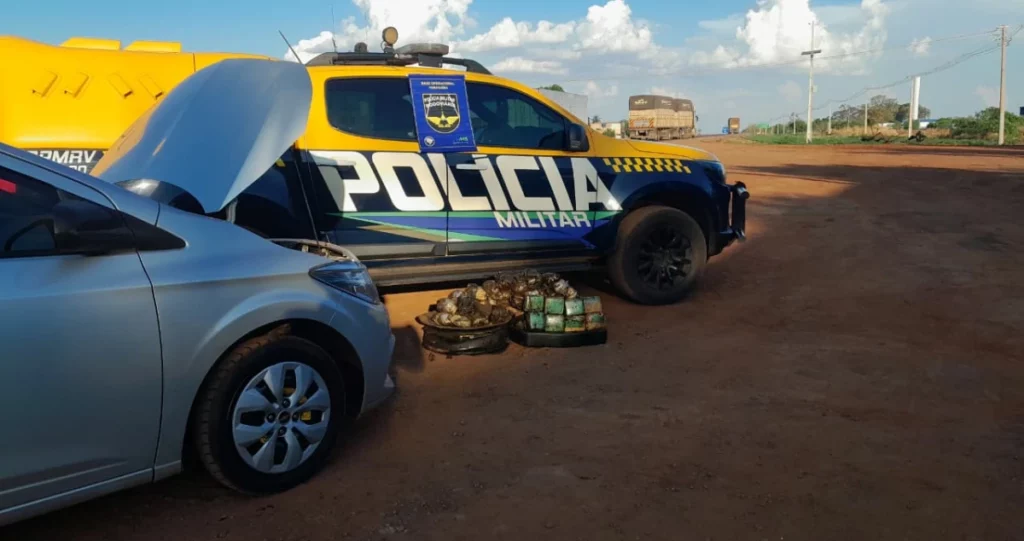 Polícia Rodoviária apreende mais de R$ 2 milhões em drogas em Paranaíba