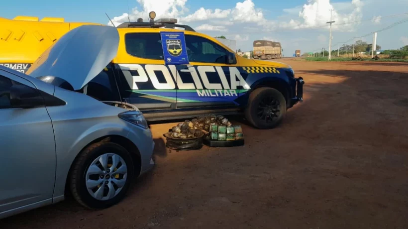 Polícia Rodoviária apreende mais de R$ 2 milhões em drogas em Paranaíba