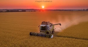 Safra 2025/26: MS mantém produção acima de 28 mi de toneladas