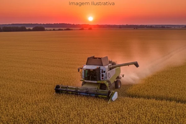 Safra 2025/26: MS mantém produção acima de 28 mi de toneladas
