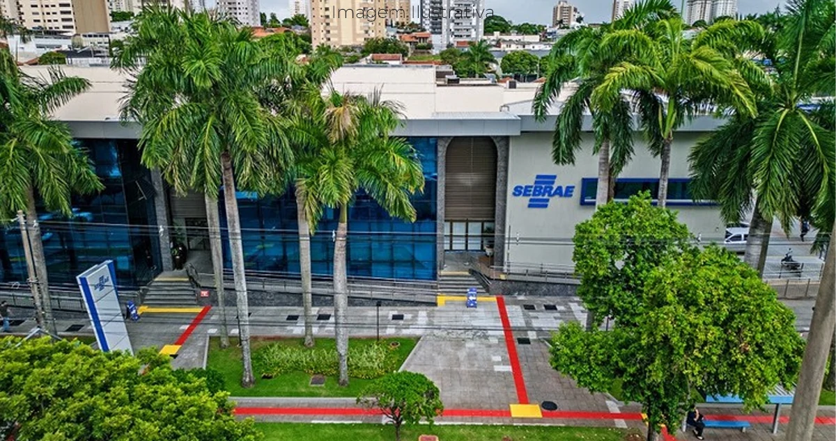 Sebrae/MS promove workshop gratuito sobre exportação em Paranaíba