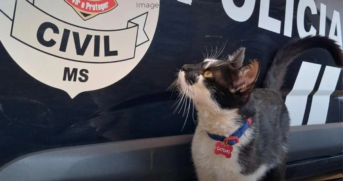 O Gatilho que cura na DAM Paranaíba MS