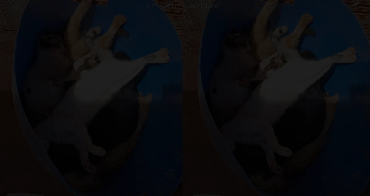 animais mortos por envenenamento em ParanaíbaMS