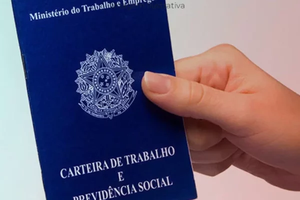 mãos de uma mulher jovem segurando uma carteira de trablaho