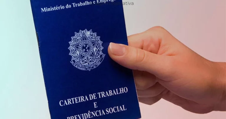 mãos de uma mulher jovem segurando uma carteira de trablaho