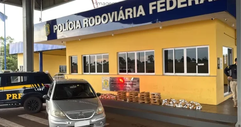 base da PRF em Paranaíba MS com carga de maconha apreendida