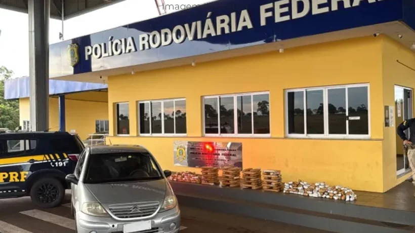 base da PRF em Paranaíba MS com carga de maconha apreendida