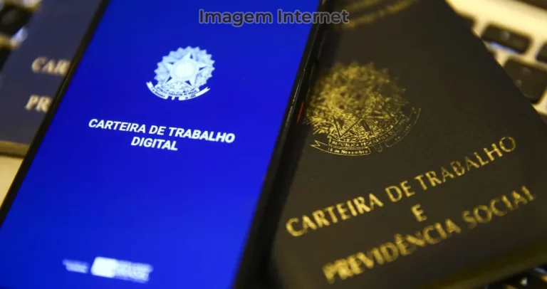 carteira de trabalho