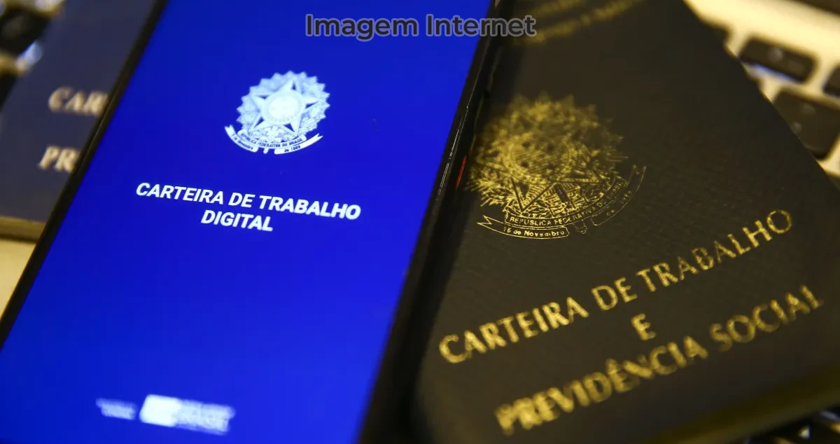 carteira de trabalho