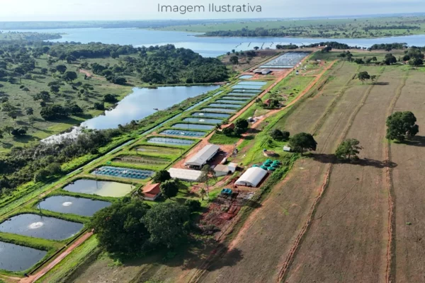 imagem aérea da empresa Genomar em Paranaíba