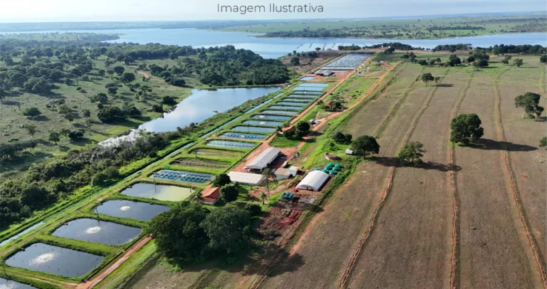 imagem aérea da empresa Genomar em Paranaíba