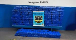 apreensão de maconha em MS