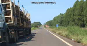 Rodovia MS-420 entre Paranaíba e Inocência