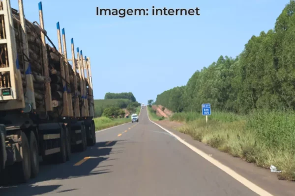 Rodovia MS-420 entre Paranaíba e Inocência